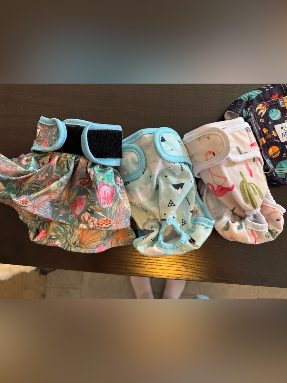 Dog diapers. 3 female and one male diaper